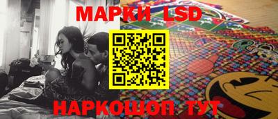 spice Камышлов