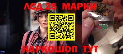 spice Камышлов