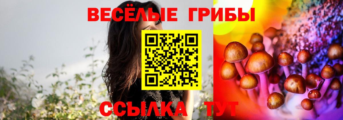Псилоцибиновые грибы Psilocybine cubensis  купить наркотик  Псилоцибиновые грибы Magic Shrooms  Каспийск  Вход с VPN 