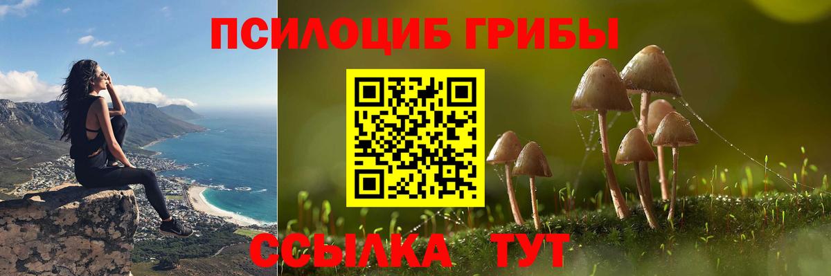 Галлюциногенные грибы MAGIC MUSHROOMS Каспийск